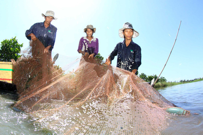 Báo[-]cáo[-]đánh[-]giá[-]tác[-]động[-]môi[-]trường[-]của[-]dự[-]án[-]thủy[-]điện[-]Pak[-]Beng[-]còn[-]nhiều[-]thiếu[-]sót